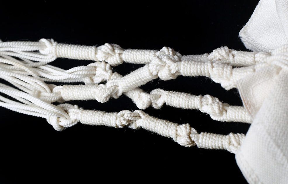 shutterstock 1046431639 3 1 1024x655