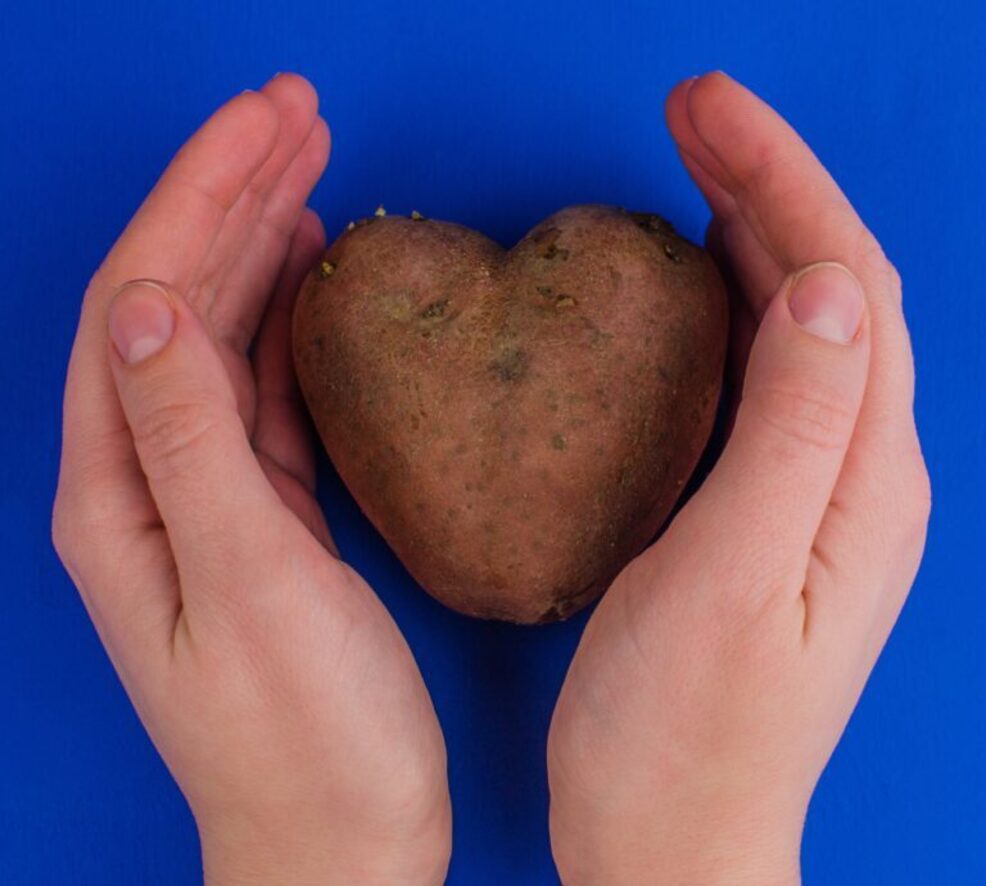 shutterstock 1614733030 768x690