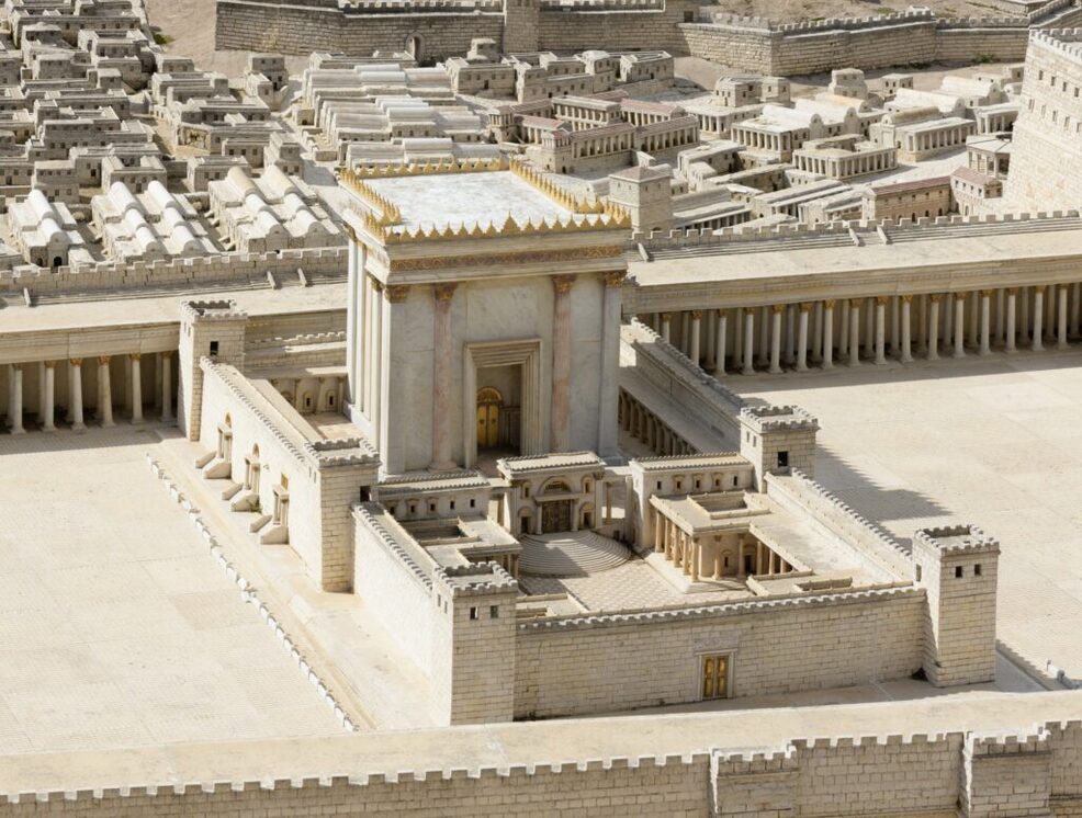 shutterstock 2288823503 1024x775