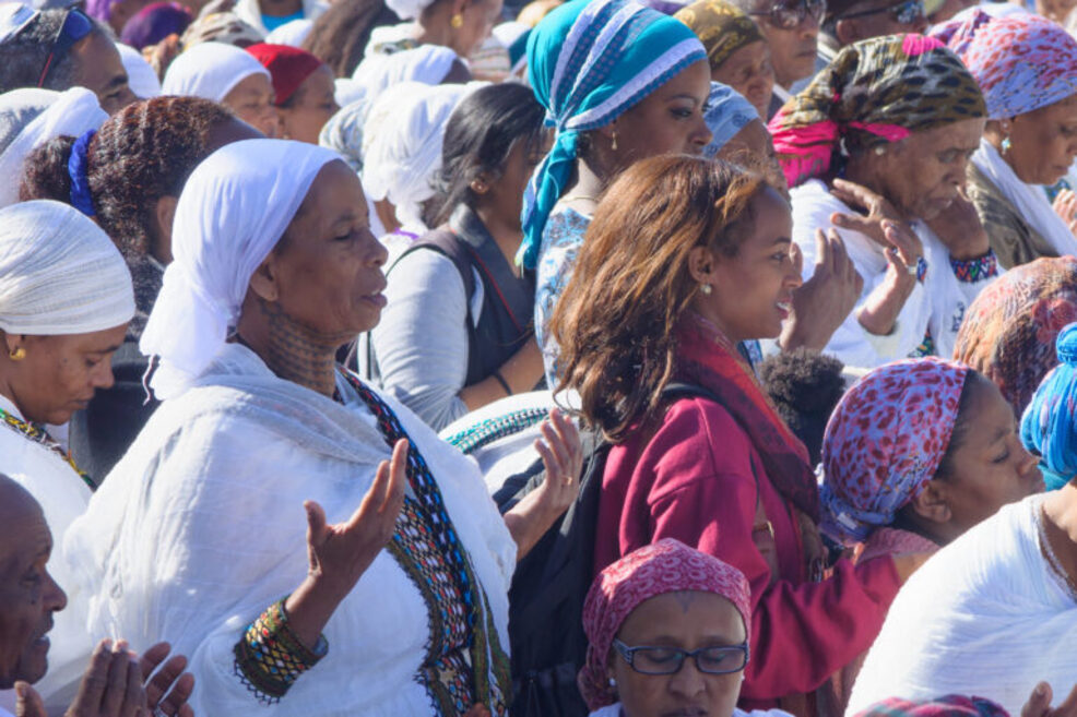 shutterstock 232306747 768x512