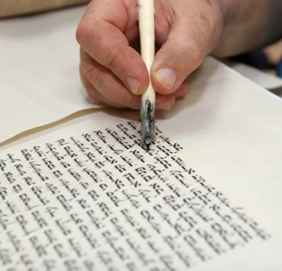 shutterstock 3064837 1024x986